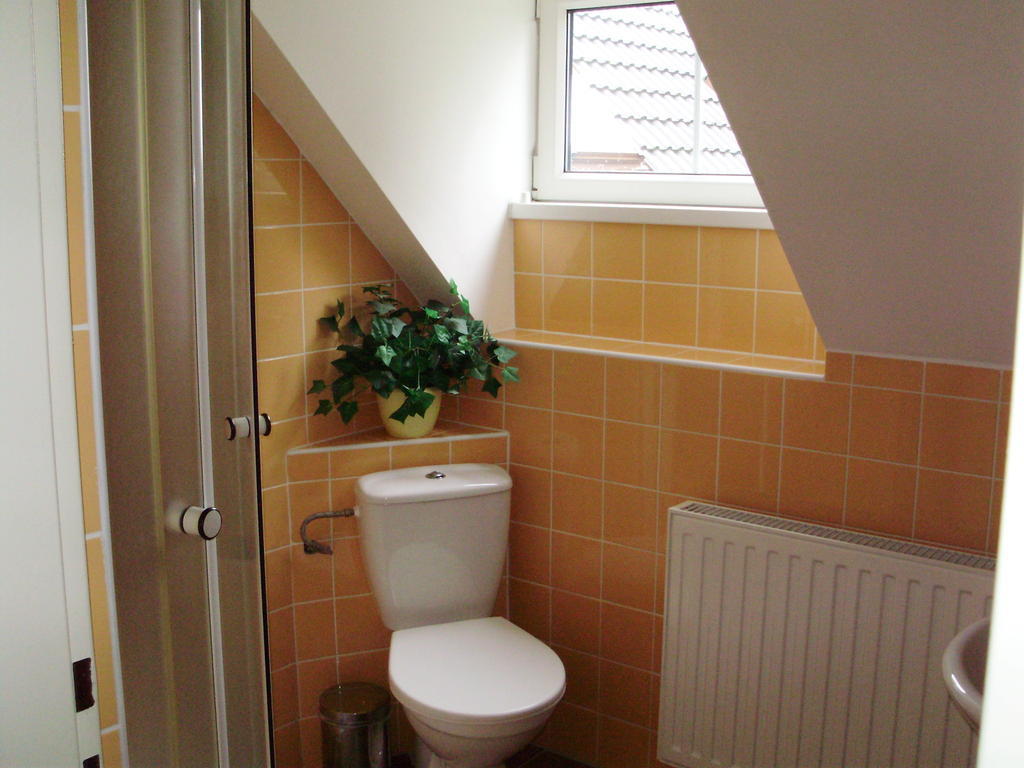 Ubytovani Doma Hotel Tisa Room photo